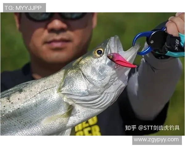 在梦想与现实的交汇点上我与路亚的较量与成长之路