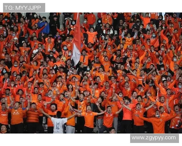 罗奇代尔与纽卡斯尔激战成和比赛结果引发球迷热议